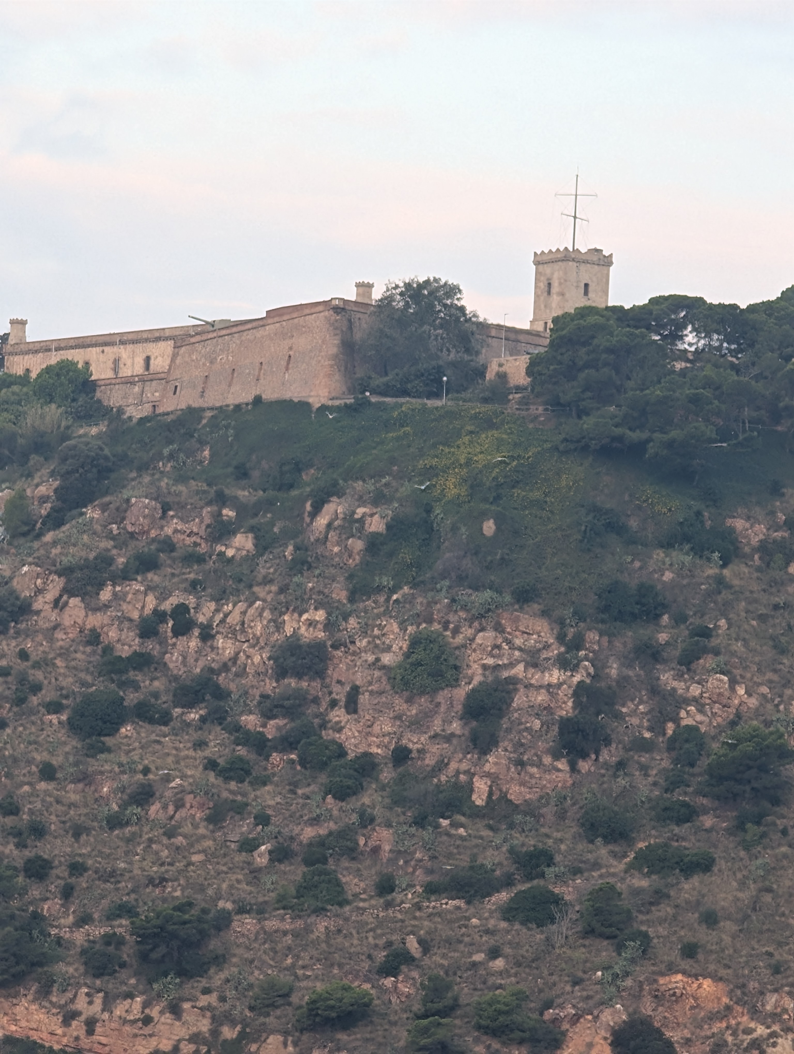 PXL_20251016_063642197
