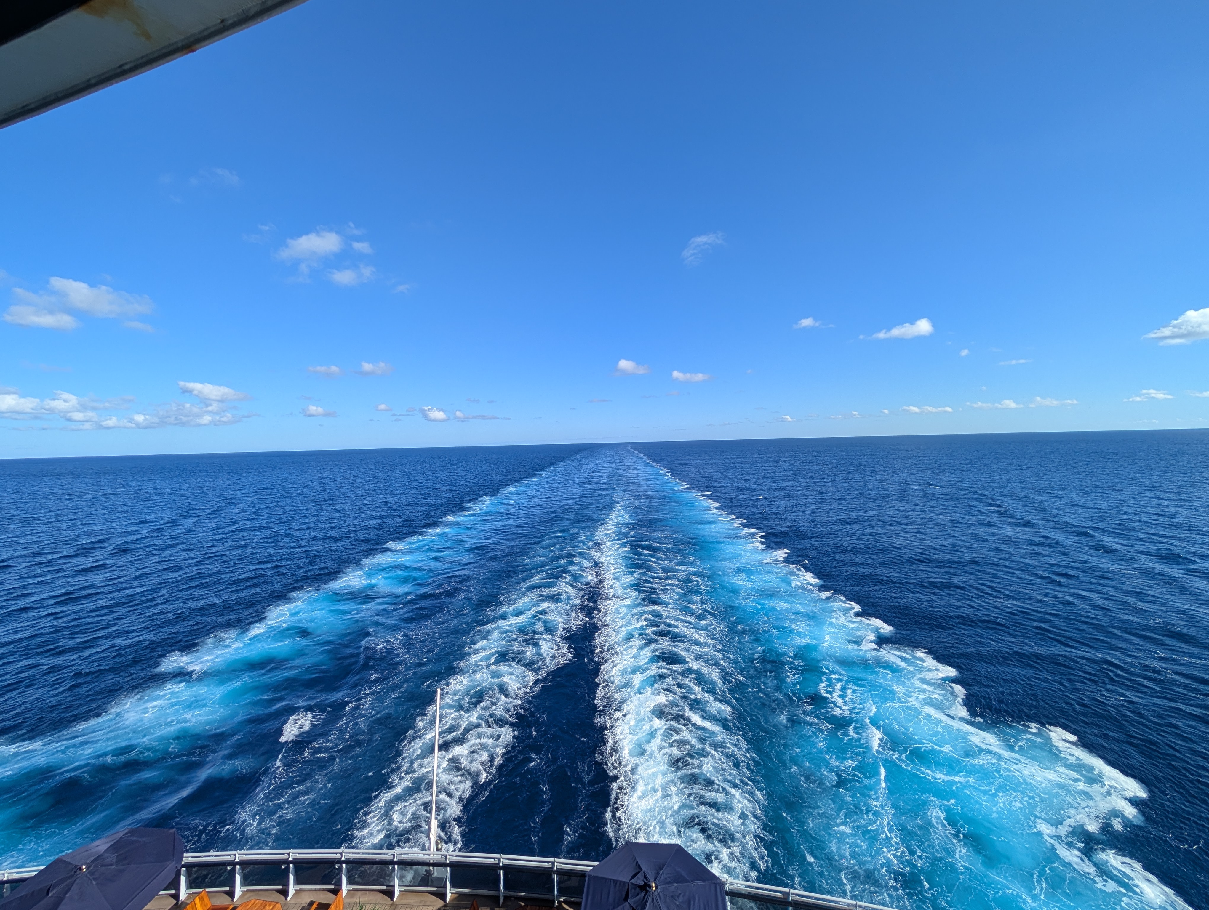 PXL_20251008_082356006