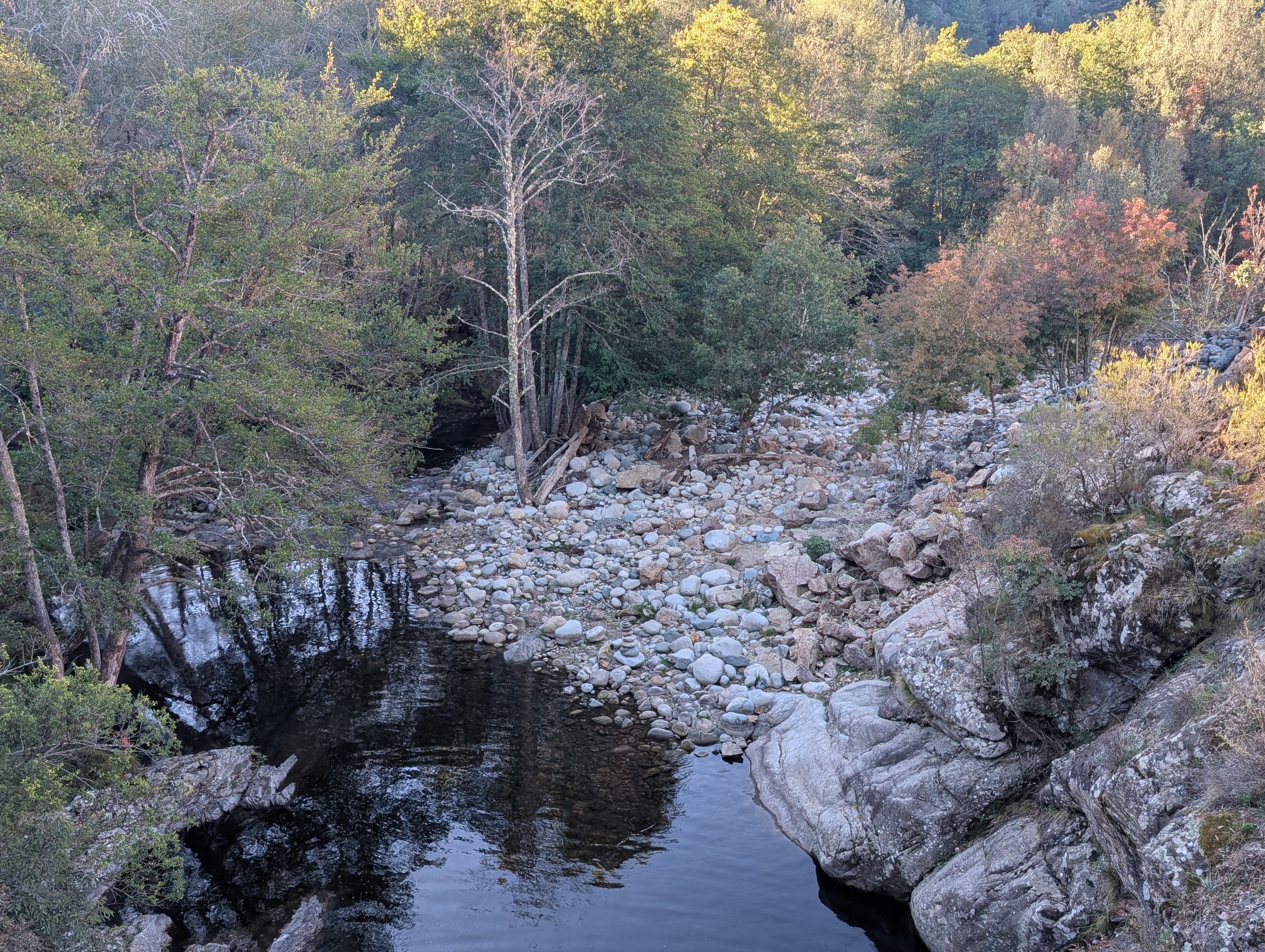 PXL_20251012_072339356
