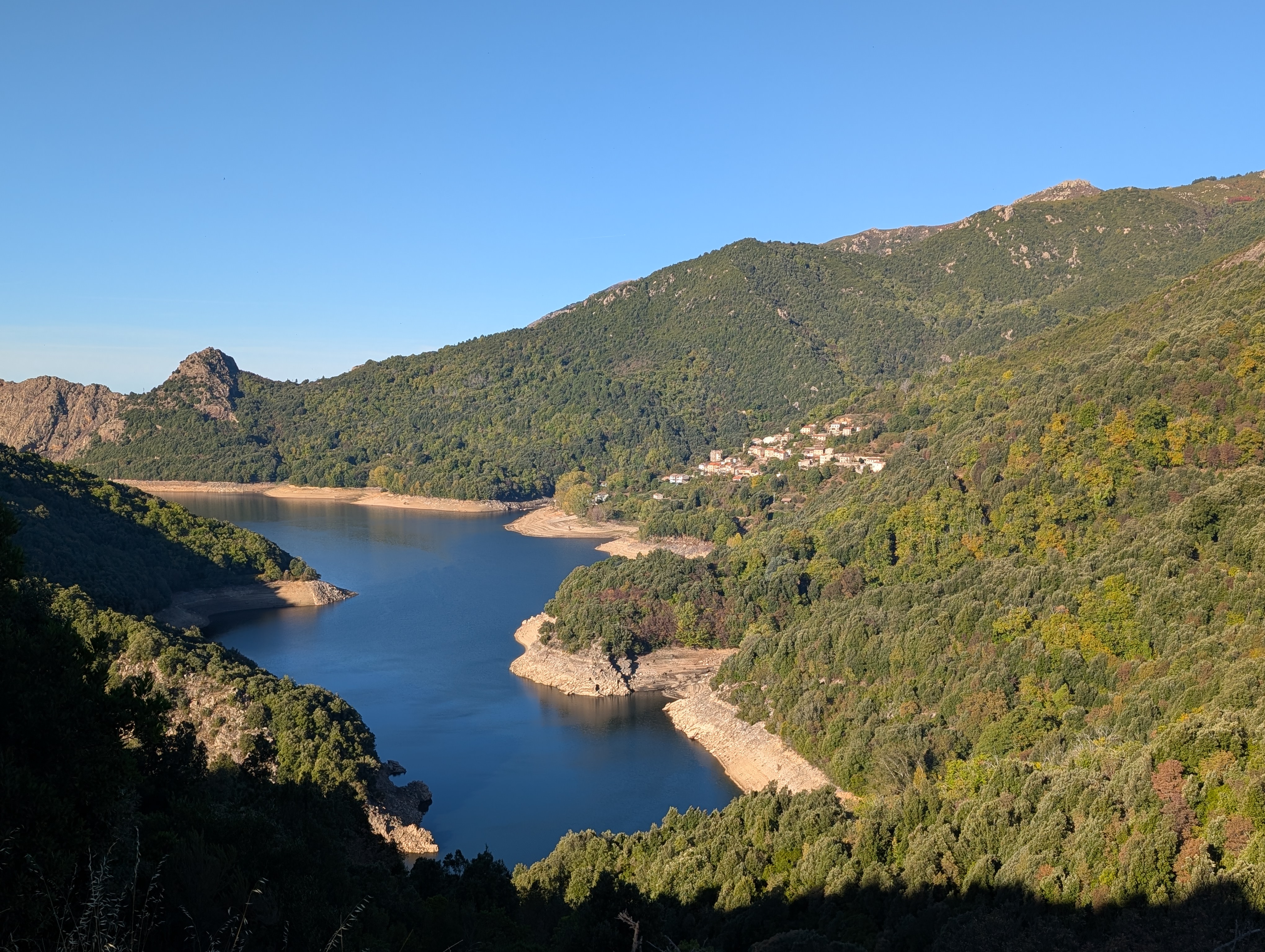 PXL_20251012_074146901