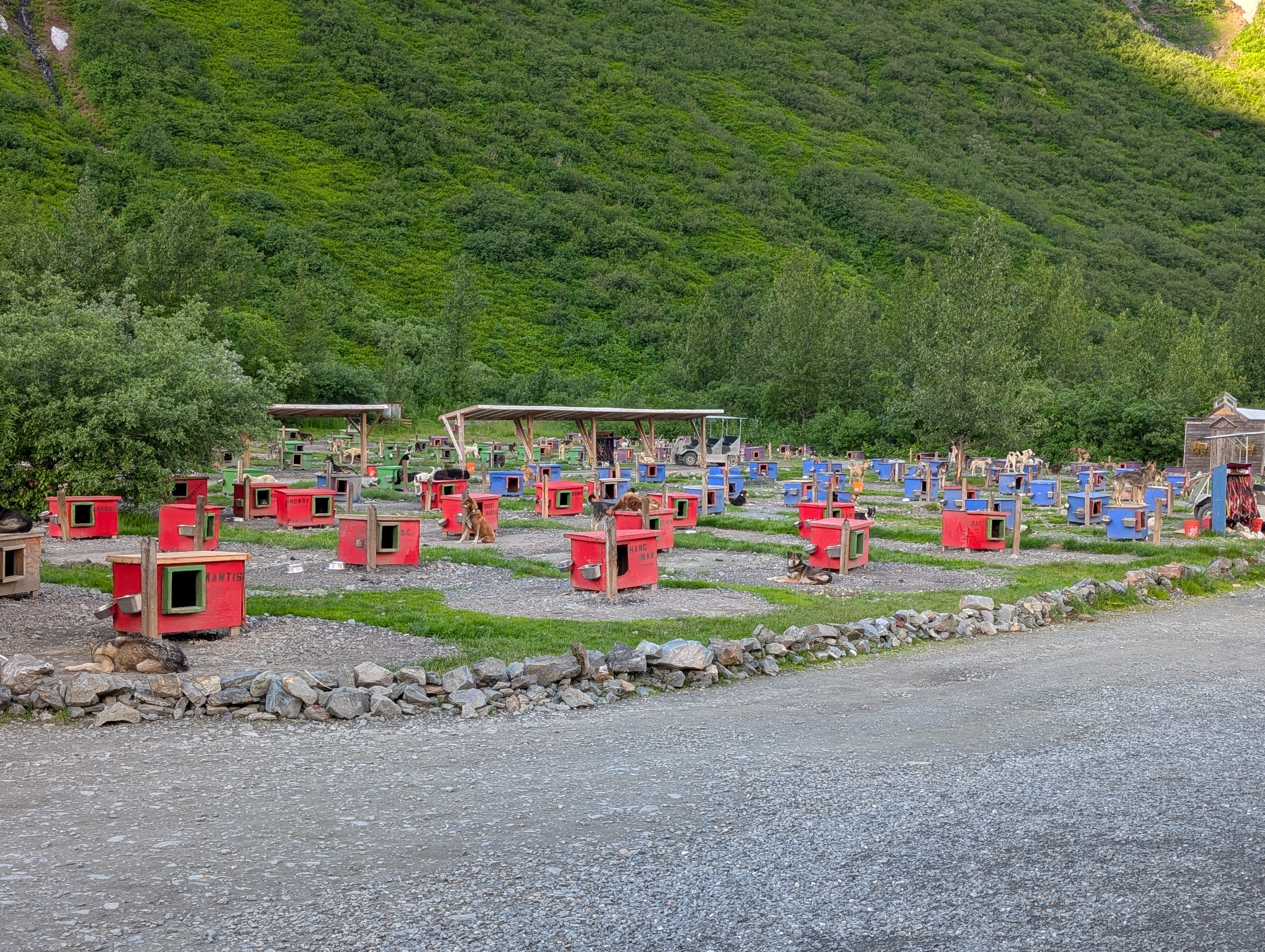 PXL_20260710_024323647