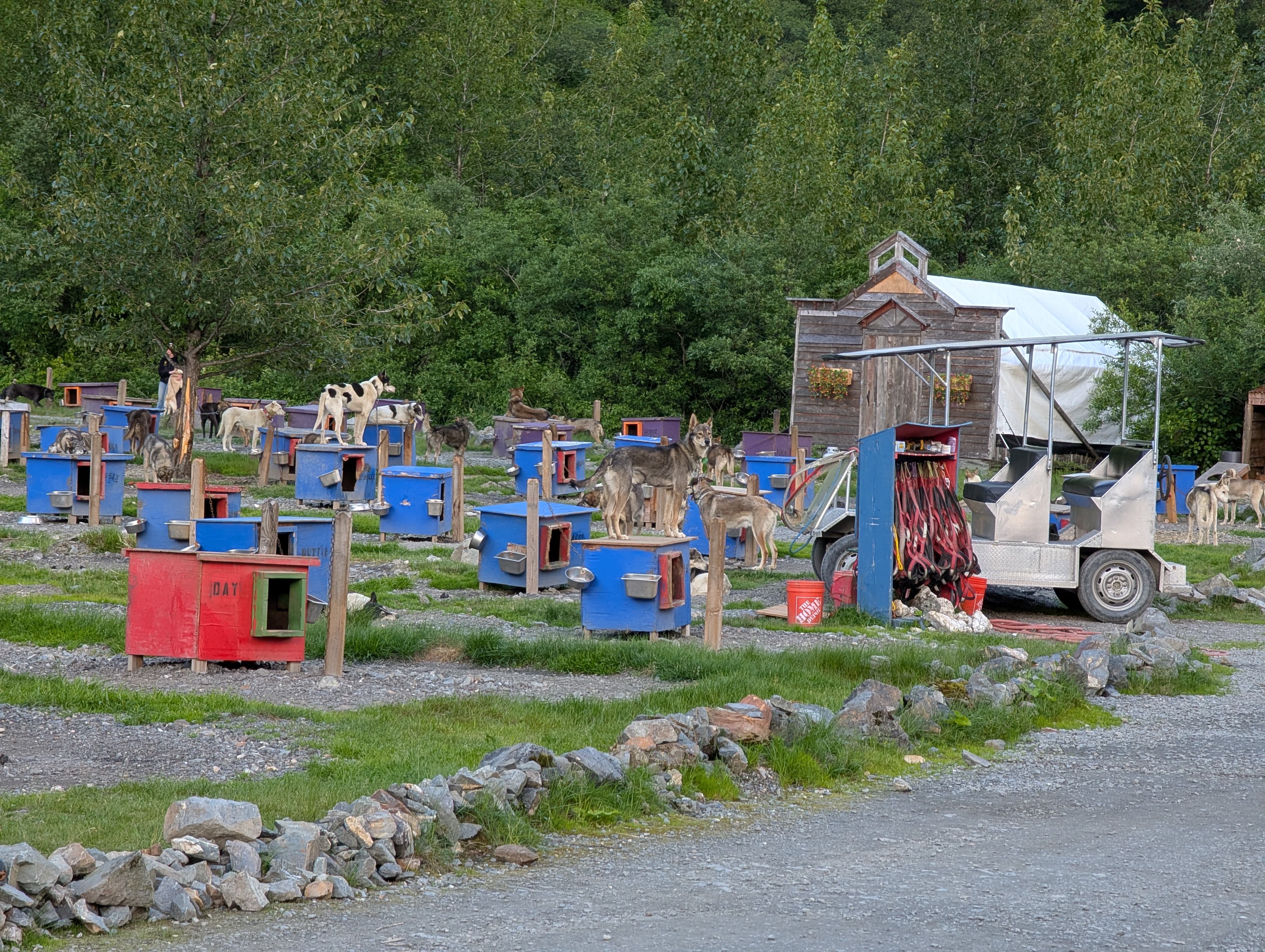 PXL_20260710_024330809