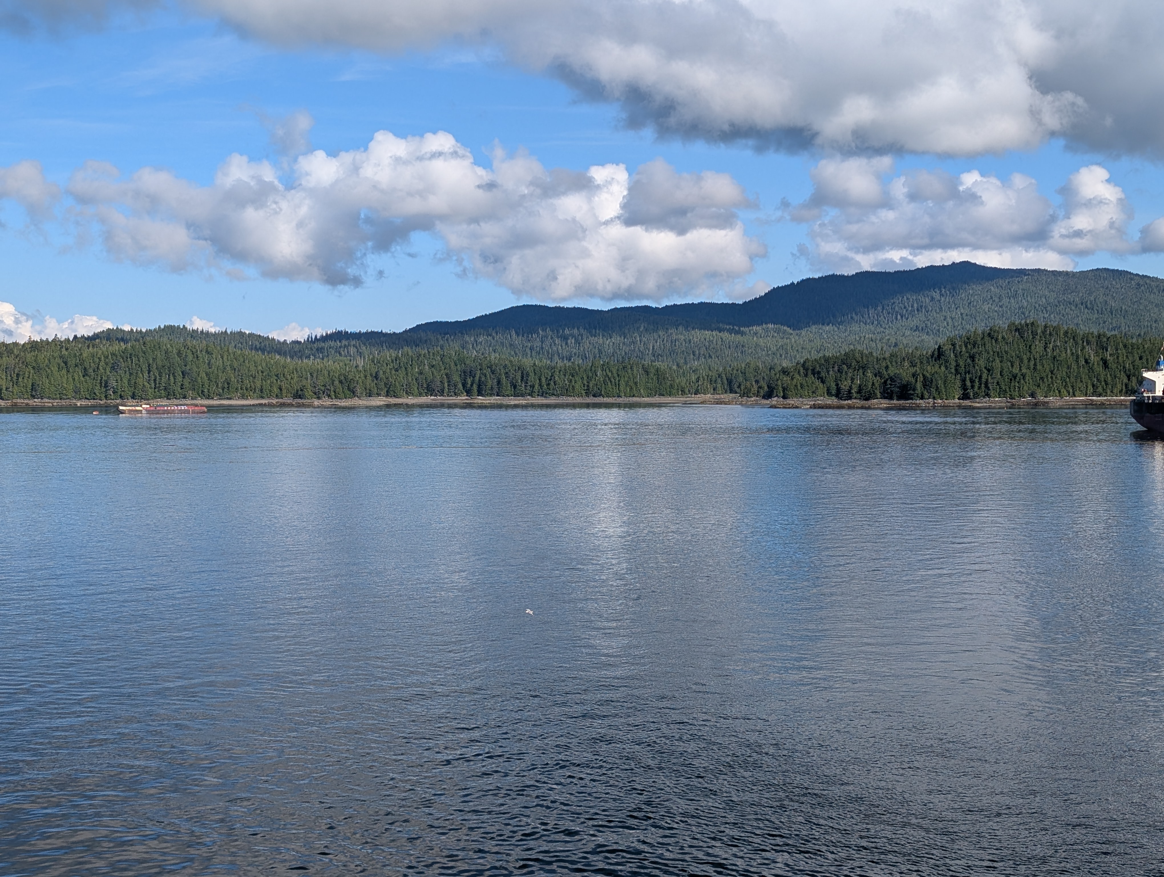 PXL_20260713_161758034