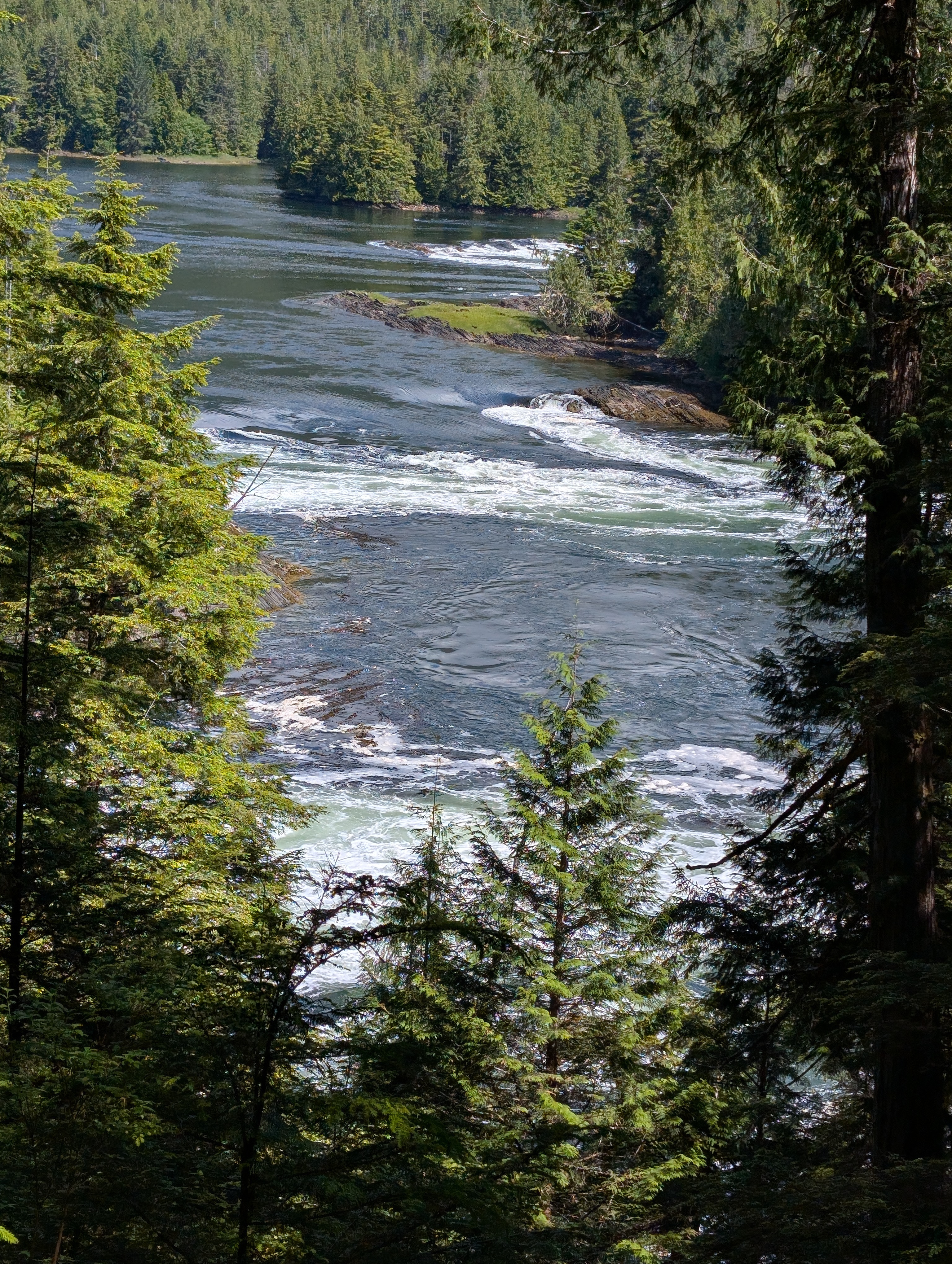 PXL_20260713_200633246