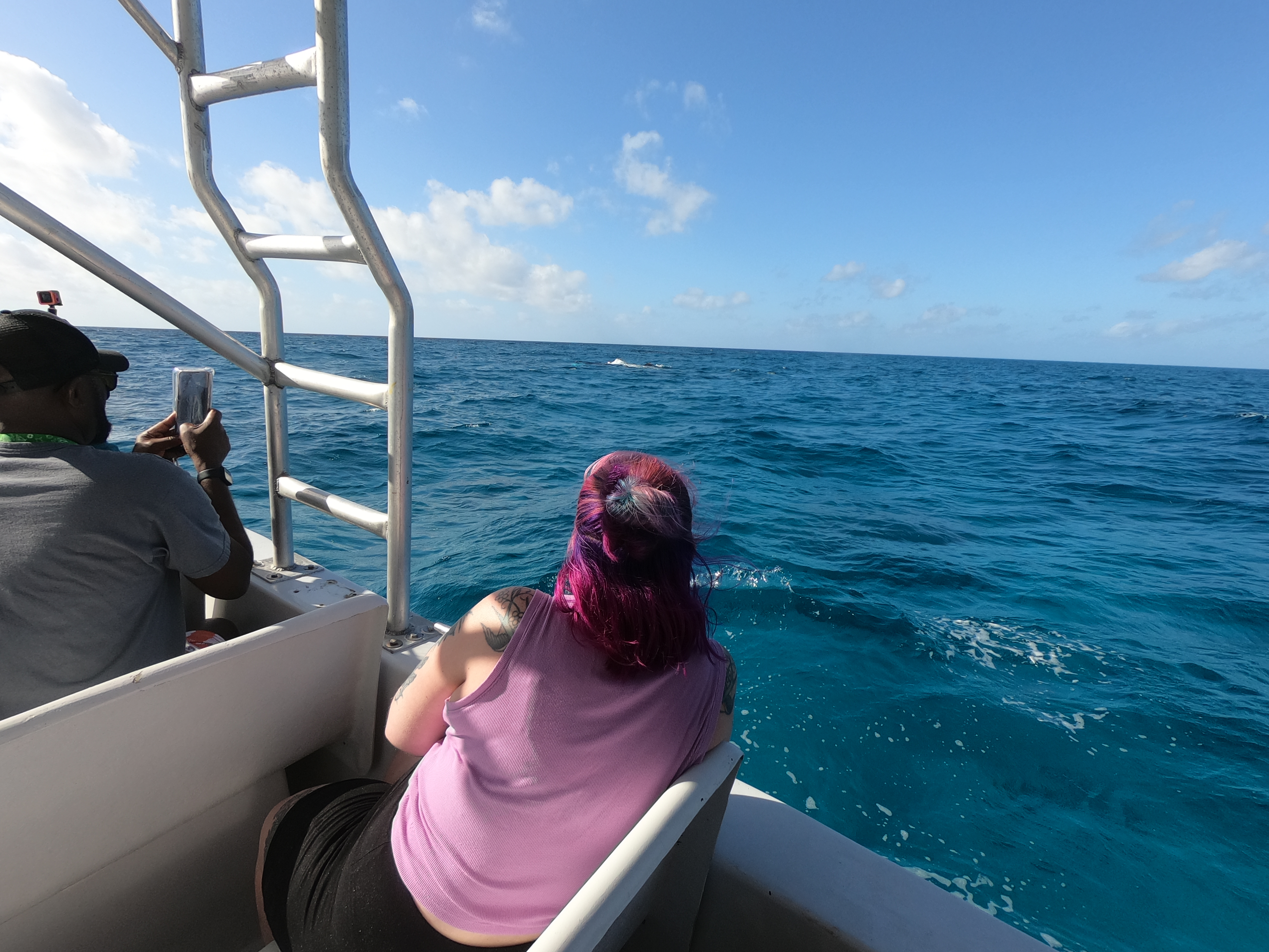 GOPR0420
