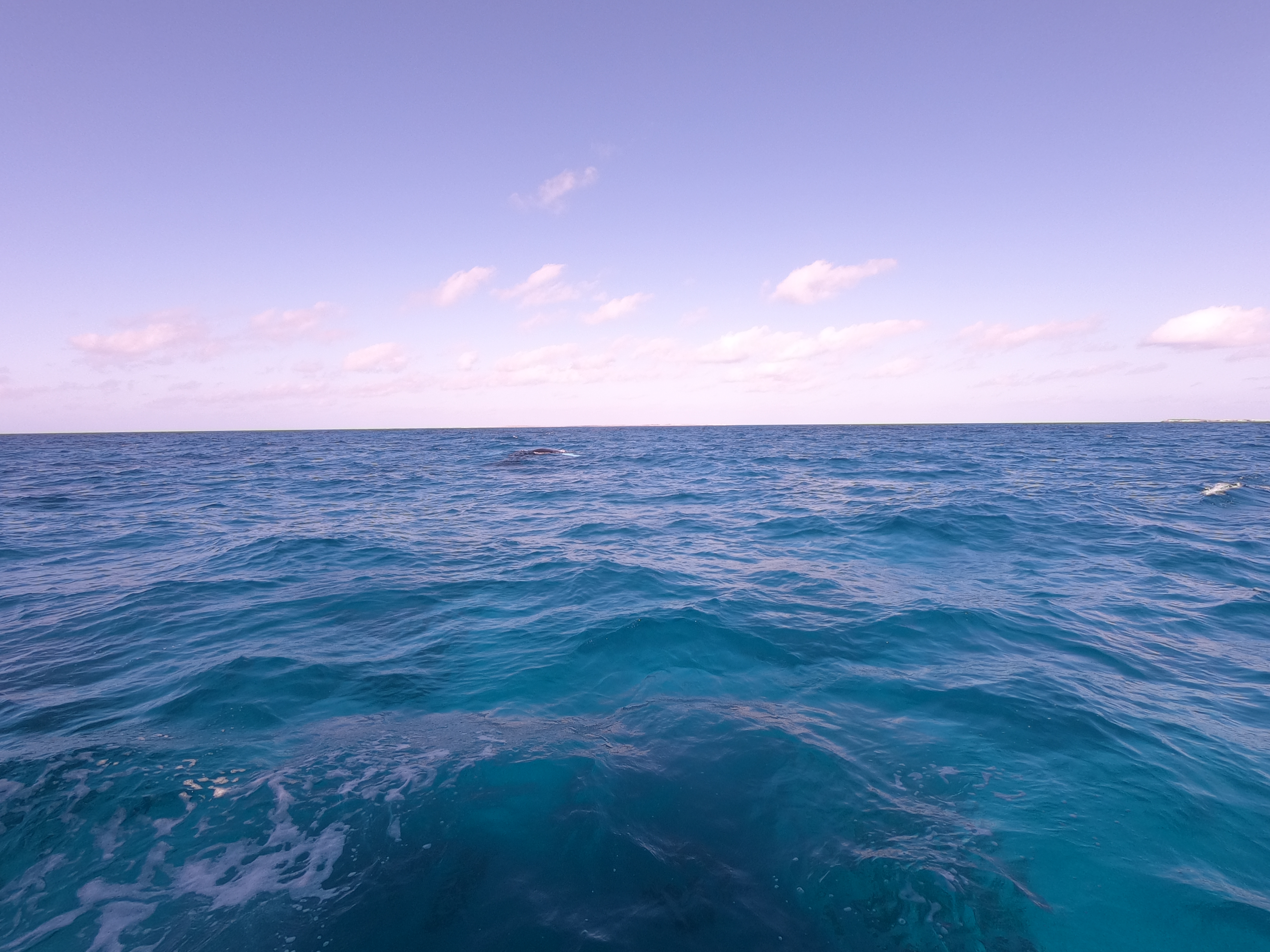 GOPR0422