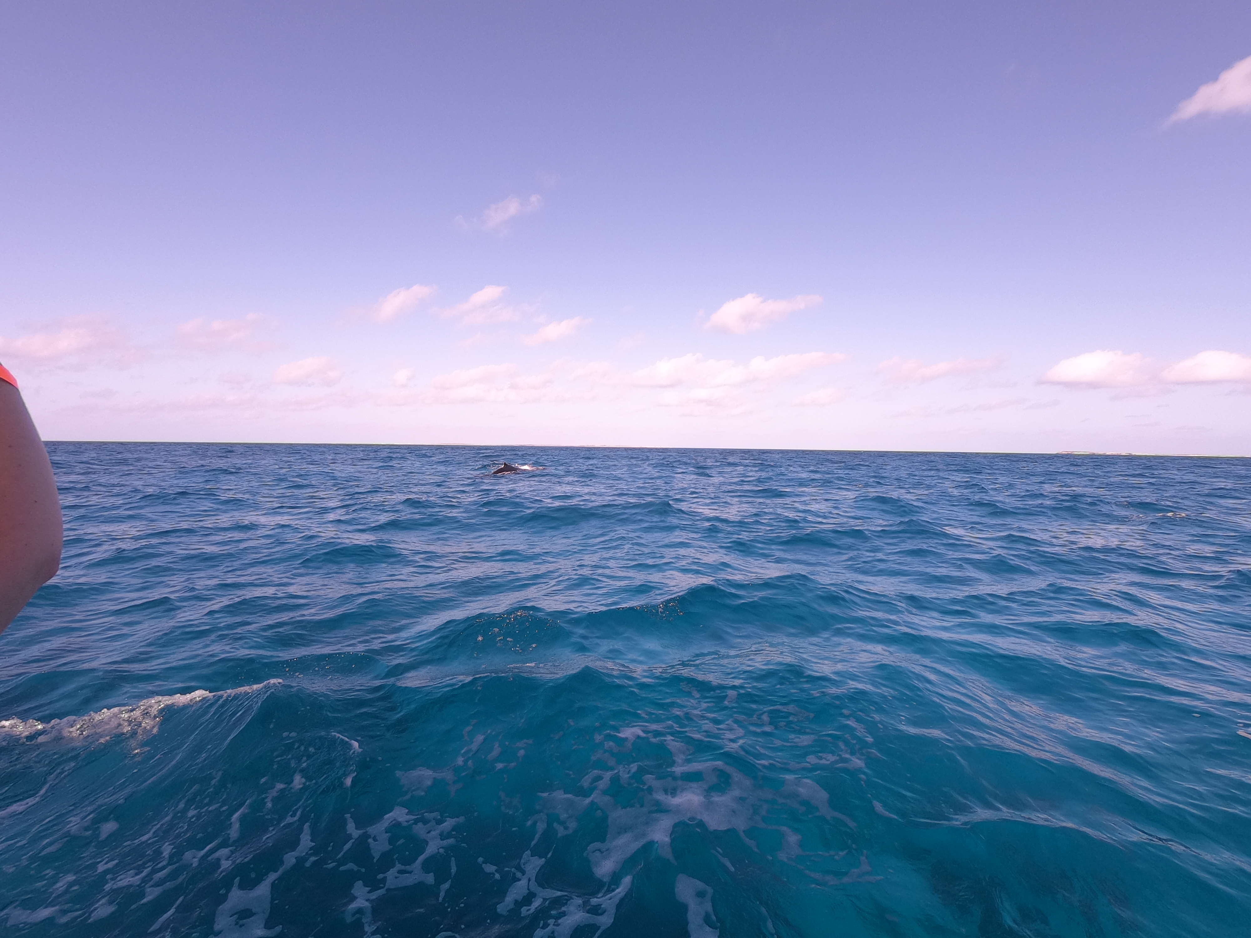 GOPR0423